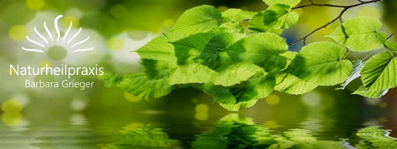 Praxis grieger münsingen